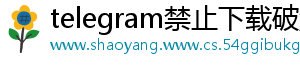 telegram禁止下载破解